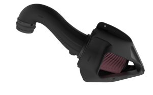 Dodge Charger Performance Air Intake - K&N Engineering - NextGen - `11-`23